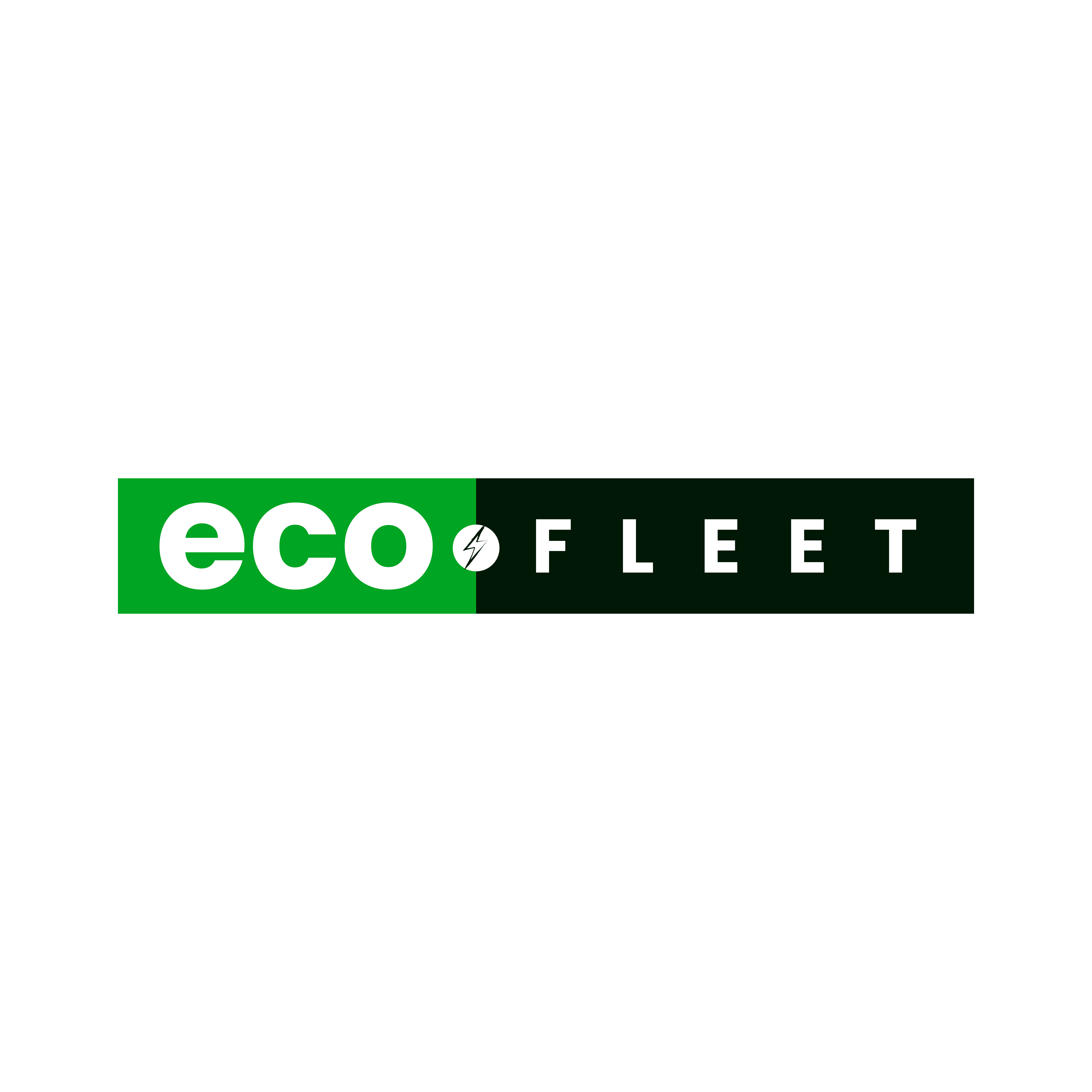 Eco-Fleet Ghana Logo
